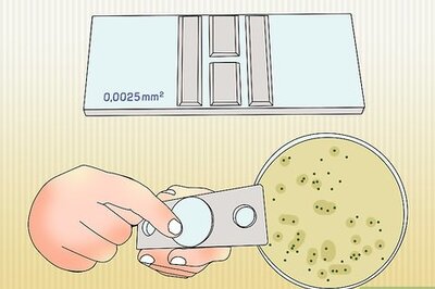 How to Measure Bacterial Growth