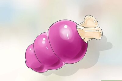 How to Work With Dominant Dogs