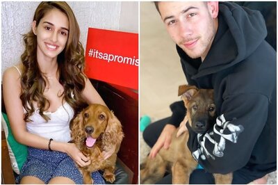 Yearender 2019: Priyanka-Nick's Gino to Disha Patani's Keety, Celebrity Pets Who Stole Limelight