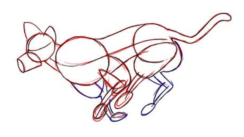 How to Draw a Running Wolf