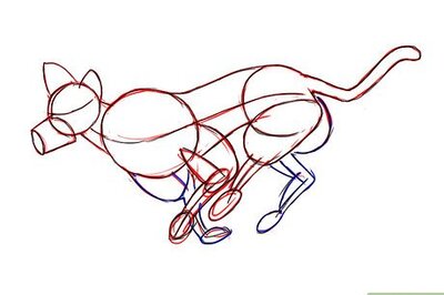 How to Draw a Running Wolf