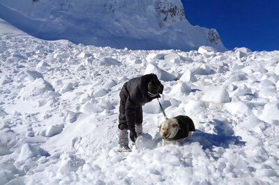 150 soldiers, 2 dogs helped rescue Lance Naik Hanamanthappa from Siachen