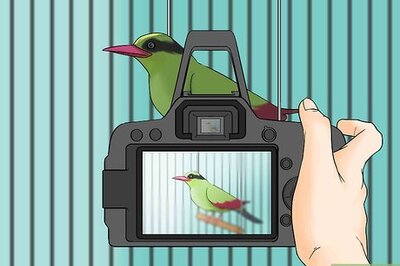 How to Sell Your Bird