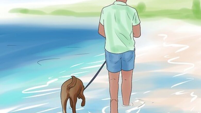 How to Have Fun Giving Your Dog a Flea Bath