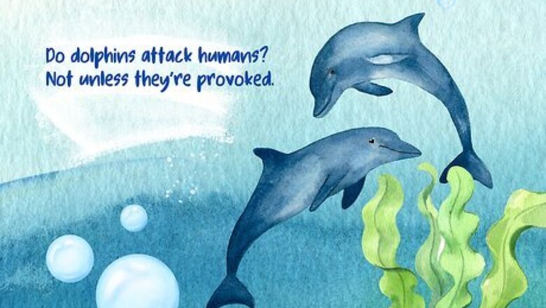 Exploring the Dark Side of Dolphins (Plus, Fun Facts)