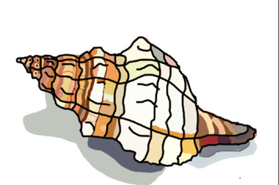How to Draw a Conch Shell