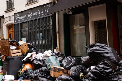 11-Year-Old Boy Picks Up Item From Trash, Discovers It To Be Painting Worth Lakhs 13 Years Later
