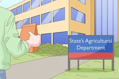 How to Fertilize Fruit Trees