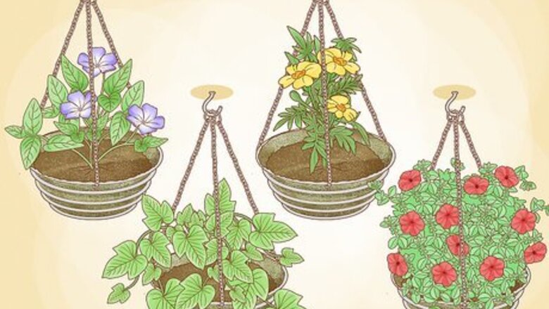 How to Hang Plants
