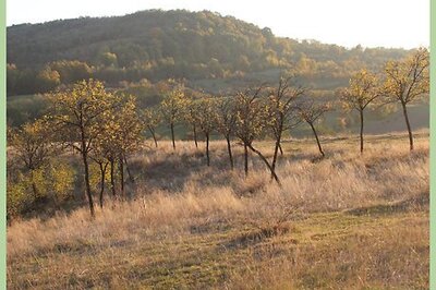 How to Avoid Being an Annoying Texter