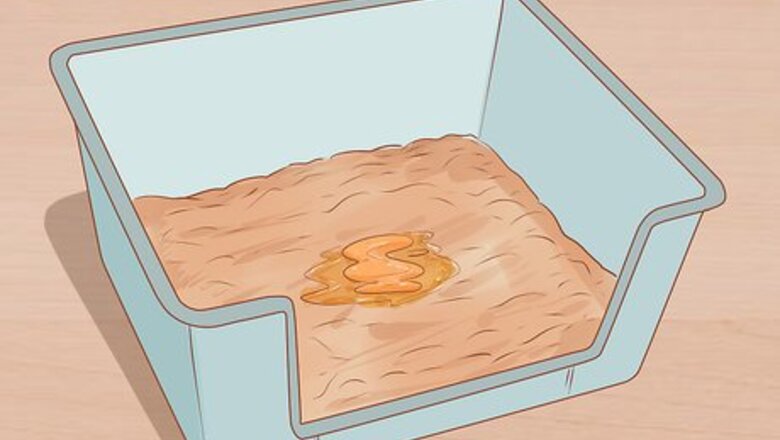 How to Treat Diarrhea in Ferrets