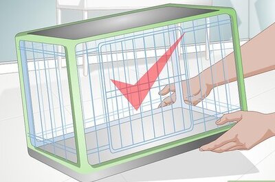 How to Get Your Puppy To Sleep in Its Own Bed