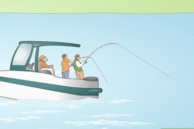 How to Become a Professional Fisherman