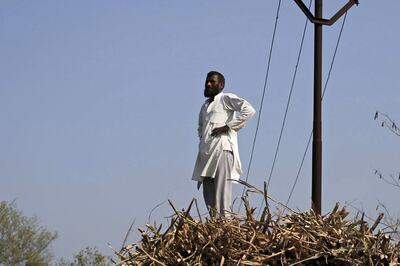 Minimum Support Price: Why All That Glitters is Not Gold