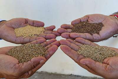 Chef Sanjeev Kapoor Shares His Simple Tips To Cook Millets