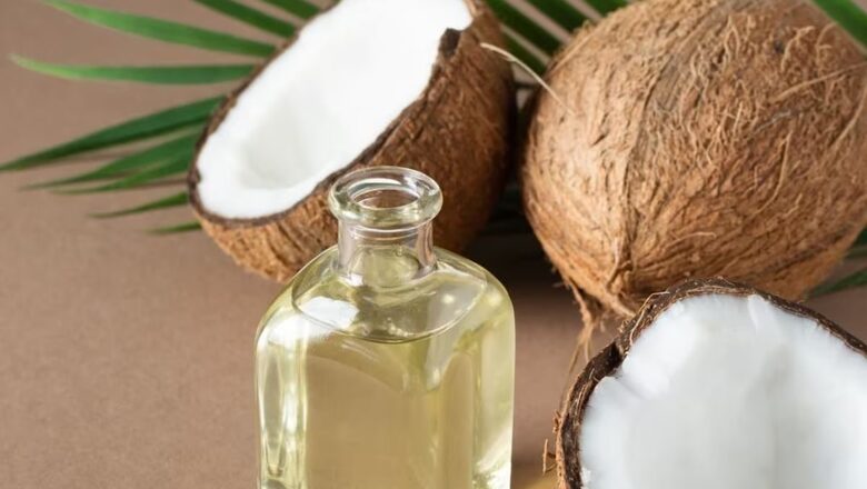Govt Hikes Copra MSP by Rs 250-300 Per Quintal for 2024 Season