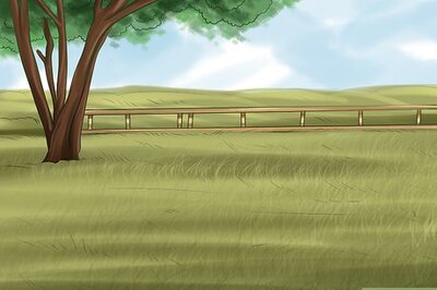 How to Care for Nubian Goats