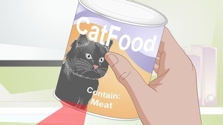 How to Keep a Cat Healthy