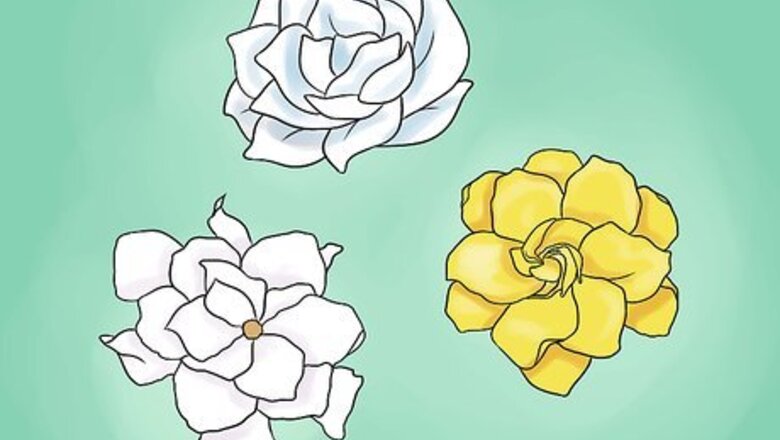 How to Plant a Gardenia