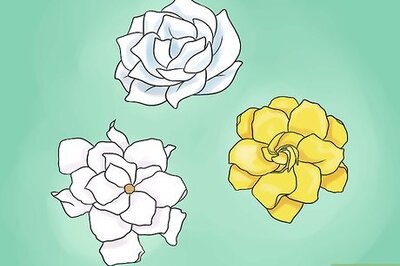 How to Plant a Gardenia