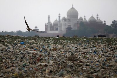 Give Specific Timelines for Cleaning of Yamuna: Green Tribunal