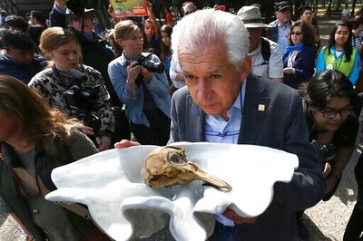 Mexico Spurns Endangered Porpoise, May Seek To Blame US