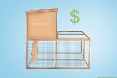 How to Care for Quail