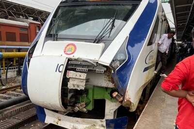 Vande Bharat: Railways to Spend Rs 264 Crore to Build Fences Along Mumbai-Ahmedabad Route to Stop Animal Hits