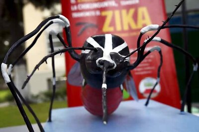 The mosquito which causes dengue also carries the deadly Zika virus