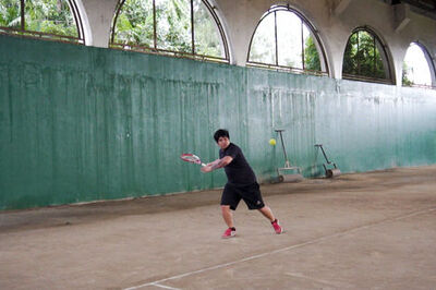 How to Hit a Tennis Ball