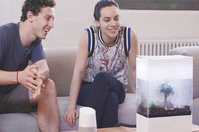 Google's AI-Powered 'Project Oasis' Can Realistically Simulate Real Weather Conditions