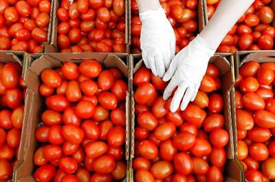Know Why it is Important to Include Tomatoes in Your Diet