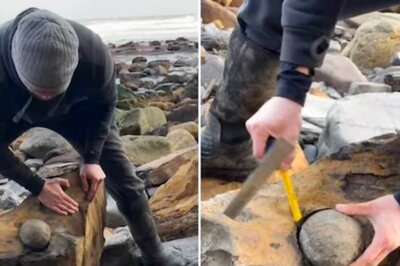 Yorkshire Man Discovers 180 Million-year-old Fossil Near Sea Shore