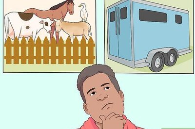How to Start a Petting Zoo