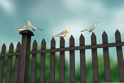 How to Control Armyworms