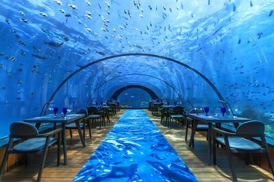Maldives Underwater Restaurant Holds World's First Yoga Class Below Sea Today
