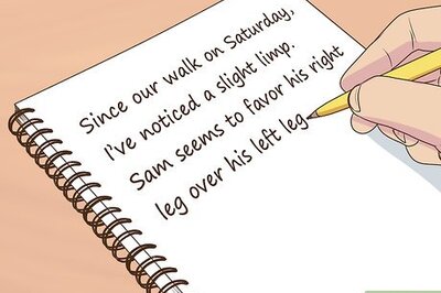 How to Get a Complete Geriatric Work Up for Your Dog