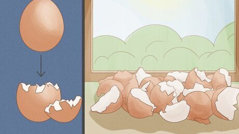 How to Fertilize Soil With Eggshells
