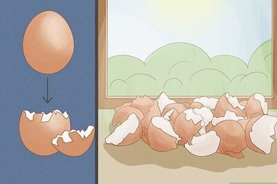 How to Fertilize Soil With Eggshells