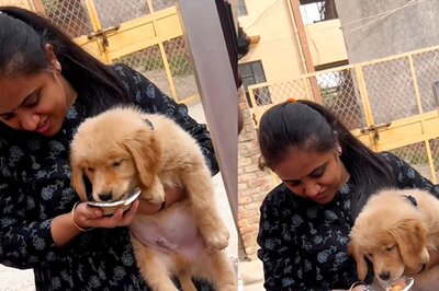Owner Feeds Panipuri to Pet Dog, The Internet is Not Happy