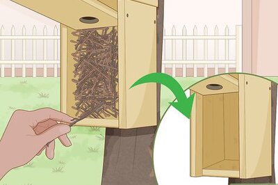How to Deter House Wrens from Nestboxes