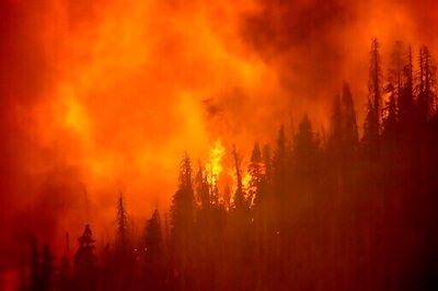 Jerry Brown Focuses On Saving California Forests From Fires