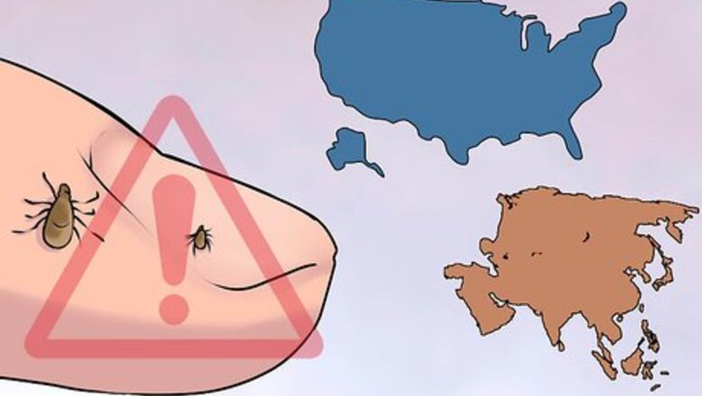 How to Reduce Your Lyme Disease Risk