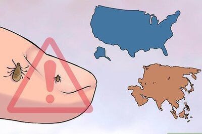 How to Reduce Your Lyme Disease Risk