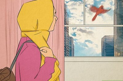 What Does It Mean If a Bird Hits Your Window? Spiritual Interpretations