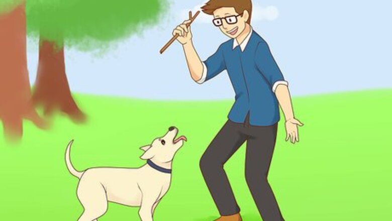 How to Treat Depression in Dogs