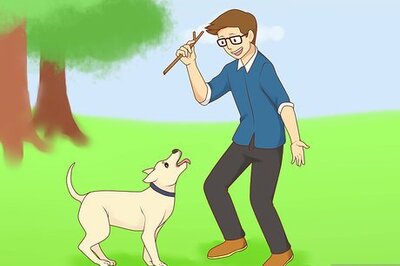 How to Treat Depression in Dogs