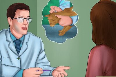 How to Apply Topical Medication to a Cat