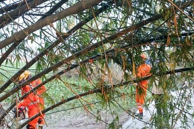 At Least 5 Dead, Over 300 Injured In Jalpaiguri Storm, NDRF At Work; BJP's Amit Malviya Attacks Mamata