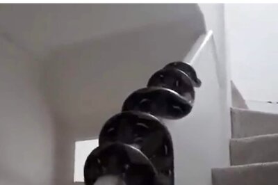 Chilling Video of Snake Crawling Up a Staircase Goes Viral